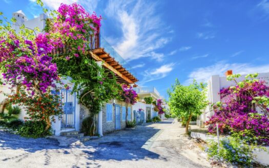 Ege'nin Saklı Cennetleri Yatırım ve Tatil